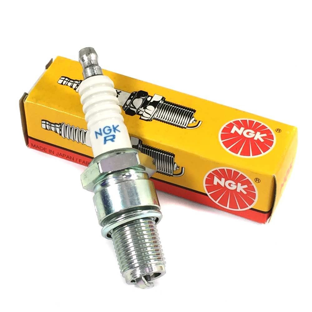NGK Sparkplug